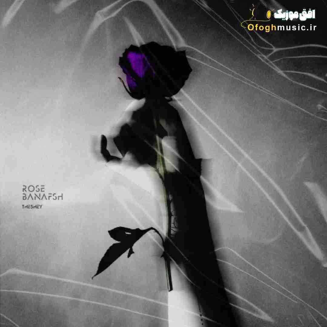 دشی رز بنفش