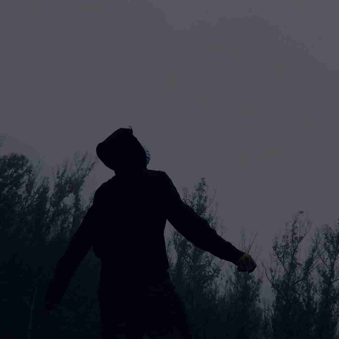 اگه کسی بت محل سگ نمیده چون بعد من - دیس پسر اینستایی