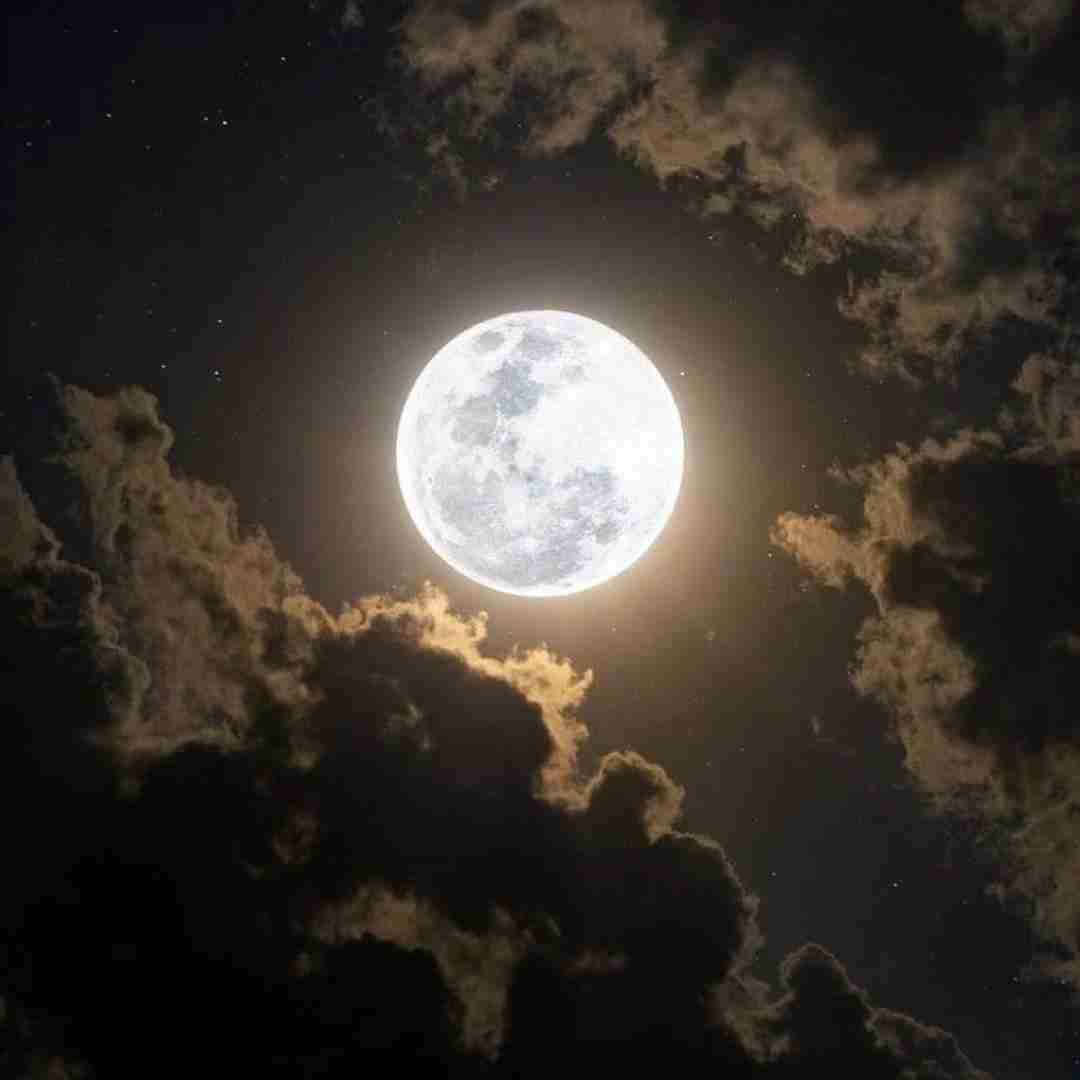  من گفتم برو صدتا نرو داشت توش