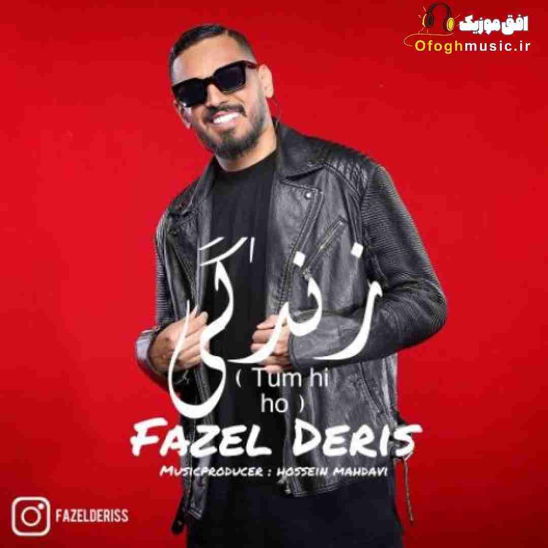 فاضل دریس زندگی