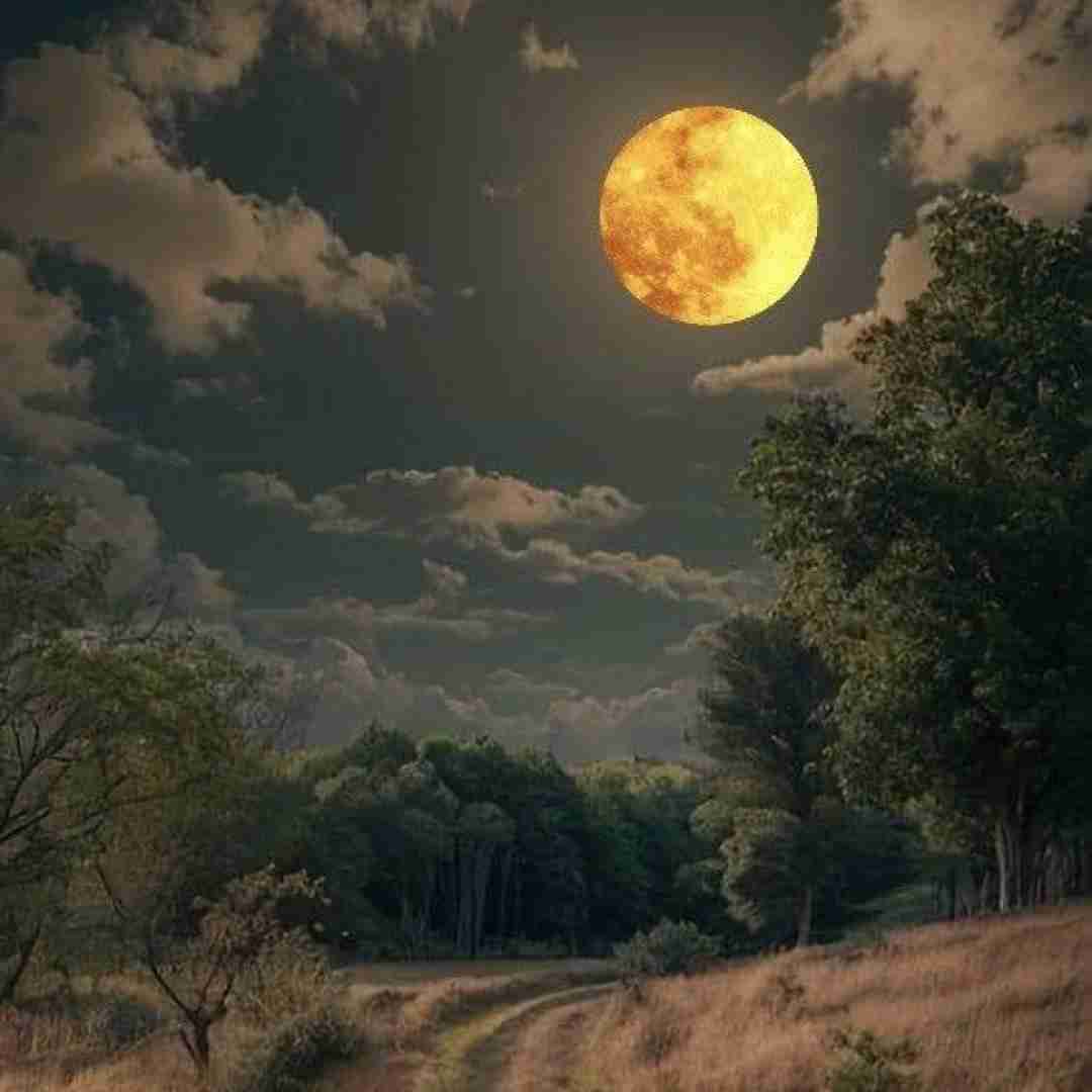 دیوته گیانه خود گیانه خالود