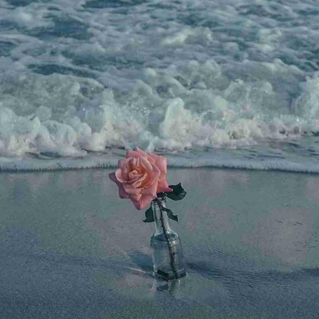 هر کی بد ما رو میخواد بده بره
