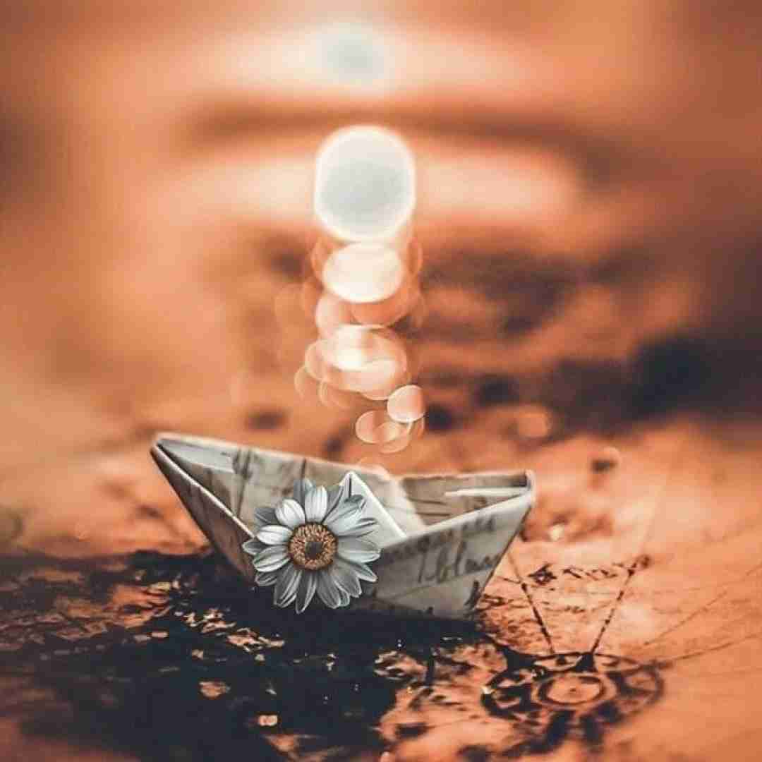  تو هنوز دختر کوچولویی و منم سالیوانت