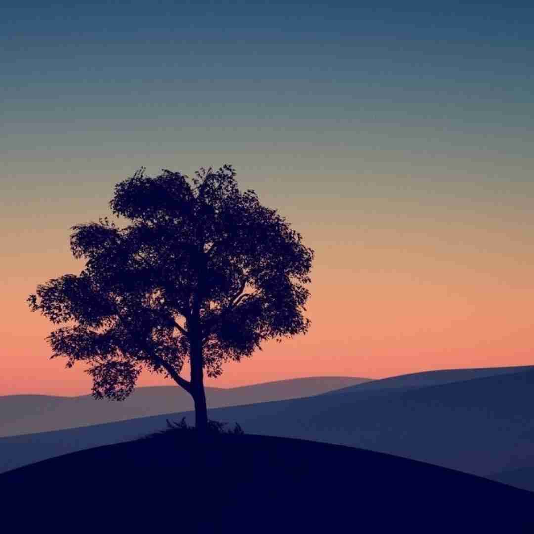  بیبی دوست داره کنم تاچش بم میگه اینو با چش
