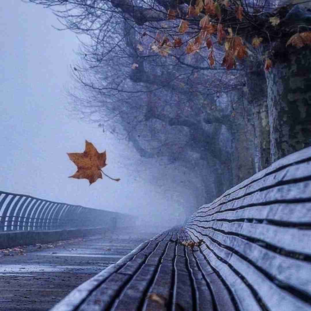 الان تو با یکی دیگه خوبی مگه نه