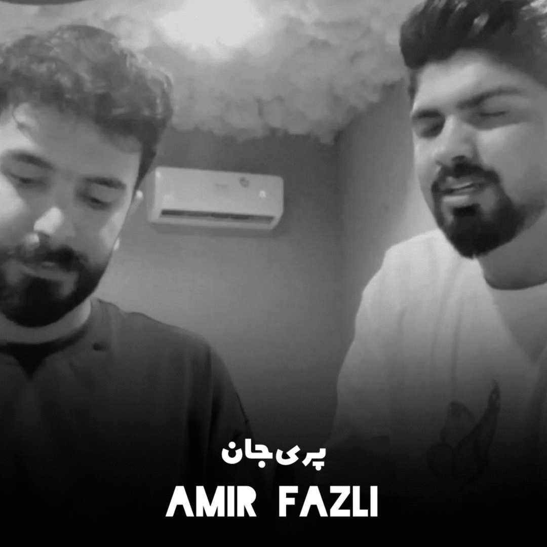 دانلود آهنگ جدید پری جان از امیر فضلی