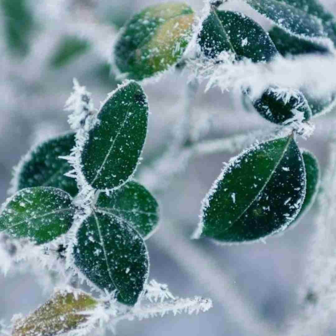  بیا که در غم عشقت مشوشم بی تو با صدای دختر