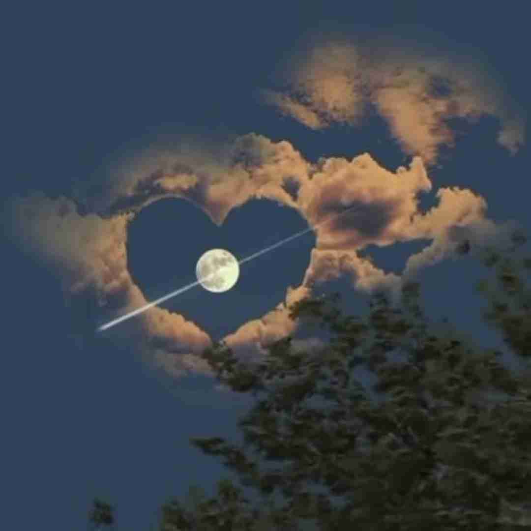 بری بهتره قضیه رو کش نده