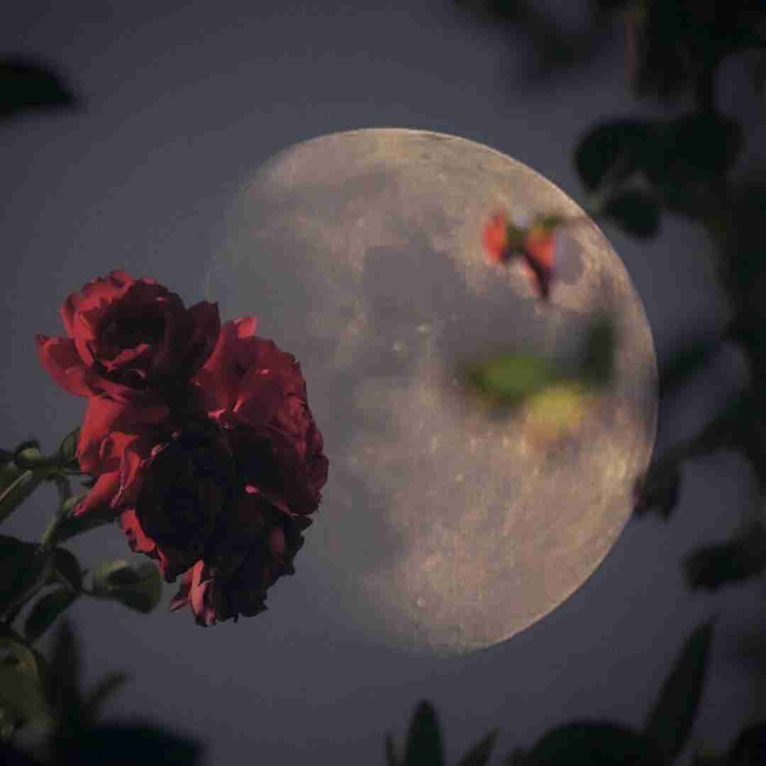 تق تق باز کنید تو مارکت درو گنگ گنگ نکنید میزنم