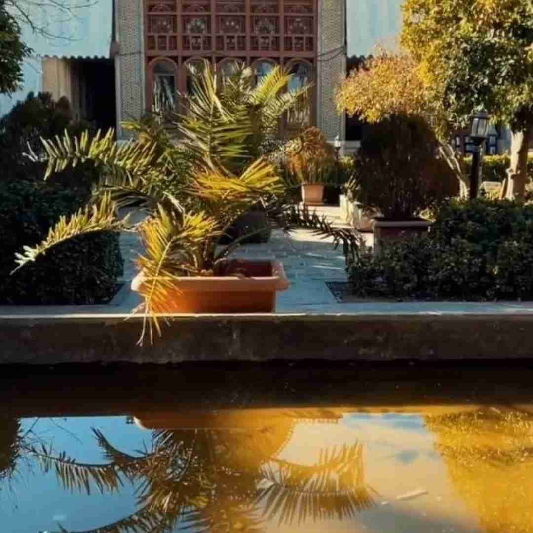 مو یارم بی خبر رفته سفر دیر کرده
