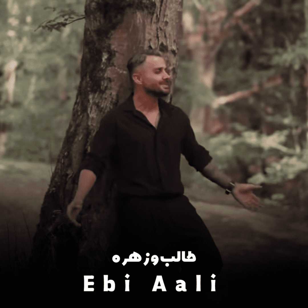 دانلود آهنگ جدید طالب و زهره از ابی عالی