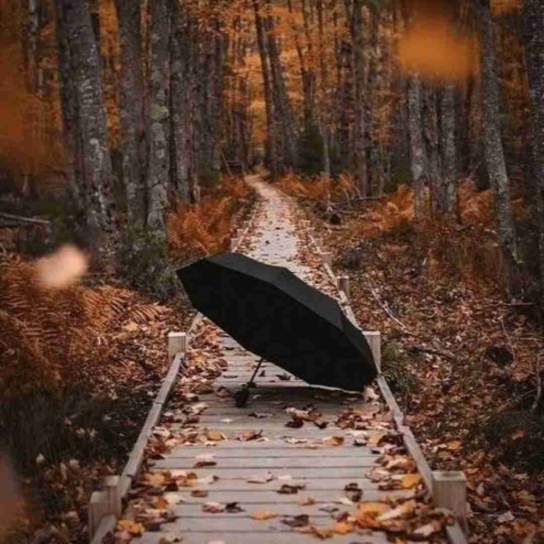  بهم سر بزن بعد تو این فصلا غمگینن
