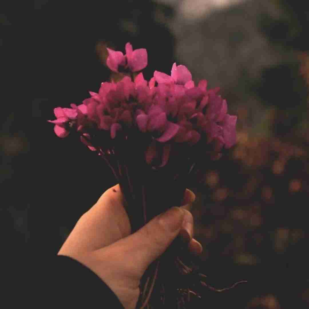  وقتی تنها نشستم فکرت دائم تو سرمه