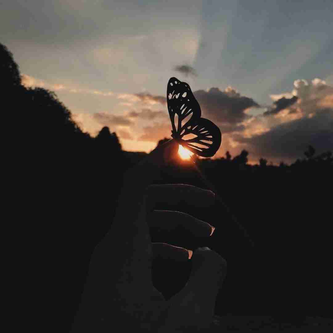  یا مرا ببر به خونتون یا بیا به خونه ی ما