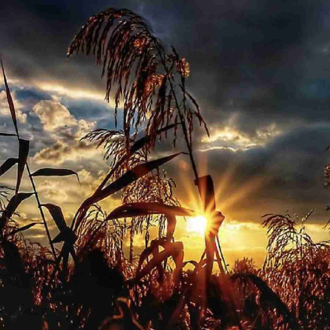 درو باز کن بیا تو خونه ی خود توعه بیا تو