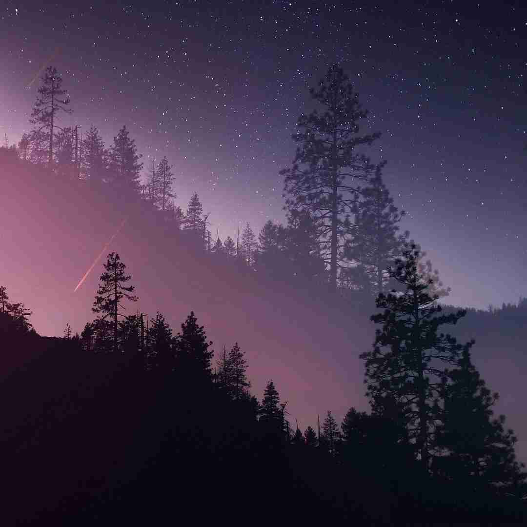 مثل کبک خستیم اشکسته بالم - میکس رپی