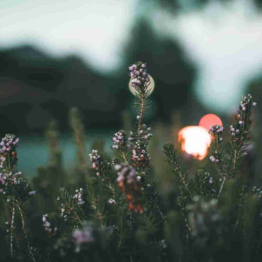  ای خدا نگاه بکو بین کی شده دوست پسرش با صدای بچه