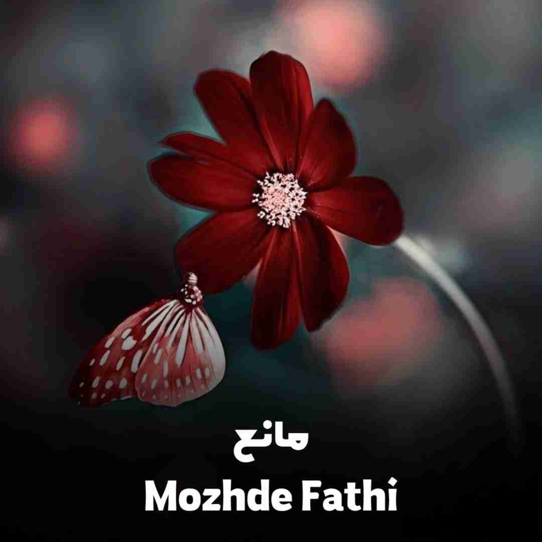مژده فتحی مانع