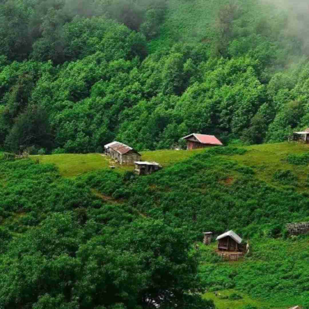 نرو نرو پشیمان میشی یک روز