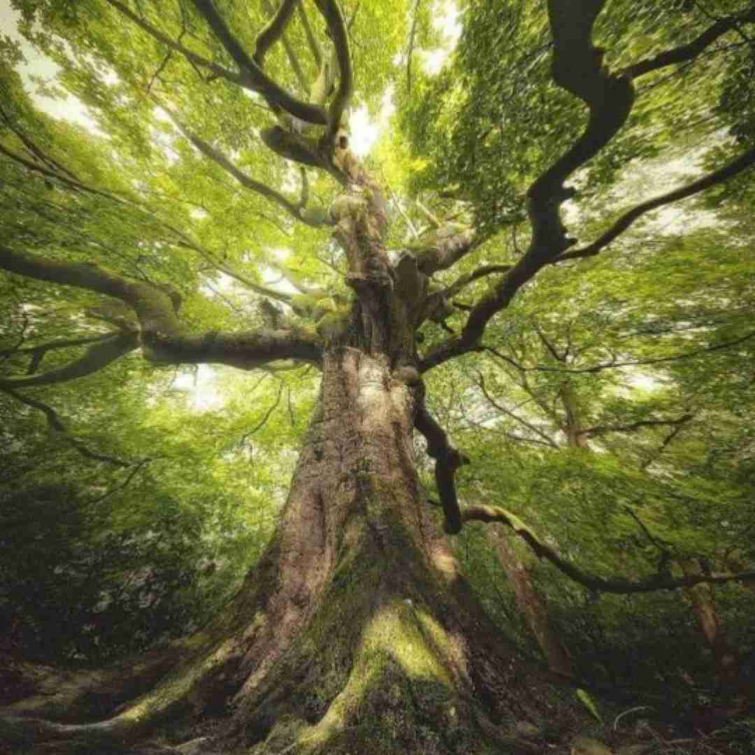  قصه های من غمگین اگه تلخه اگه شیرین