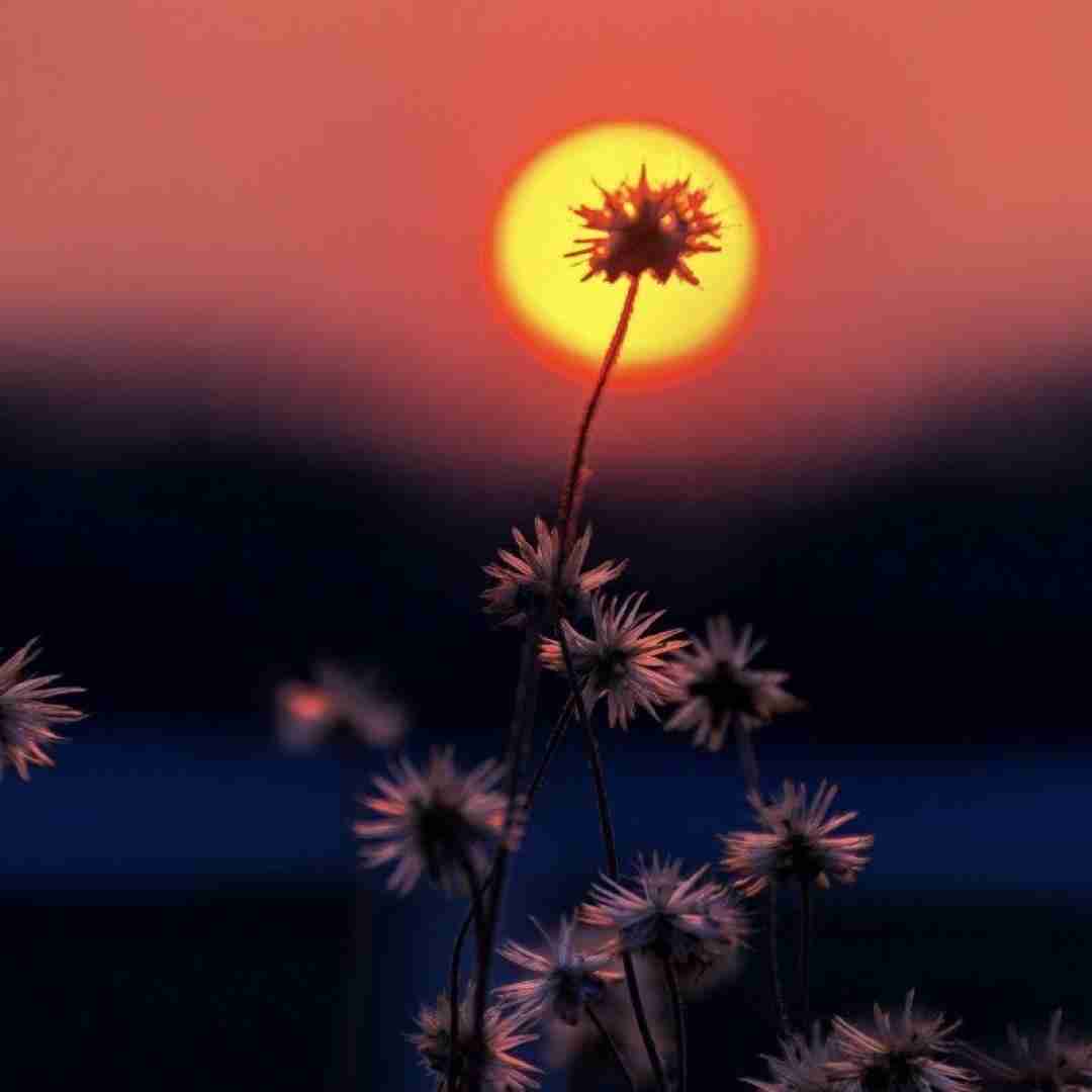 ای جان ای جان از کجای کیهان در قالب انسان