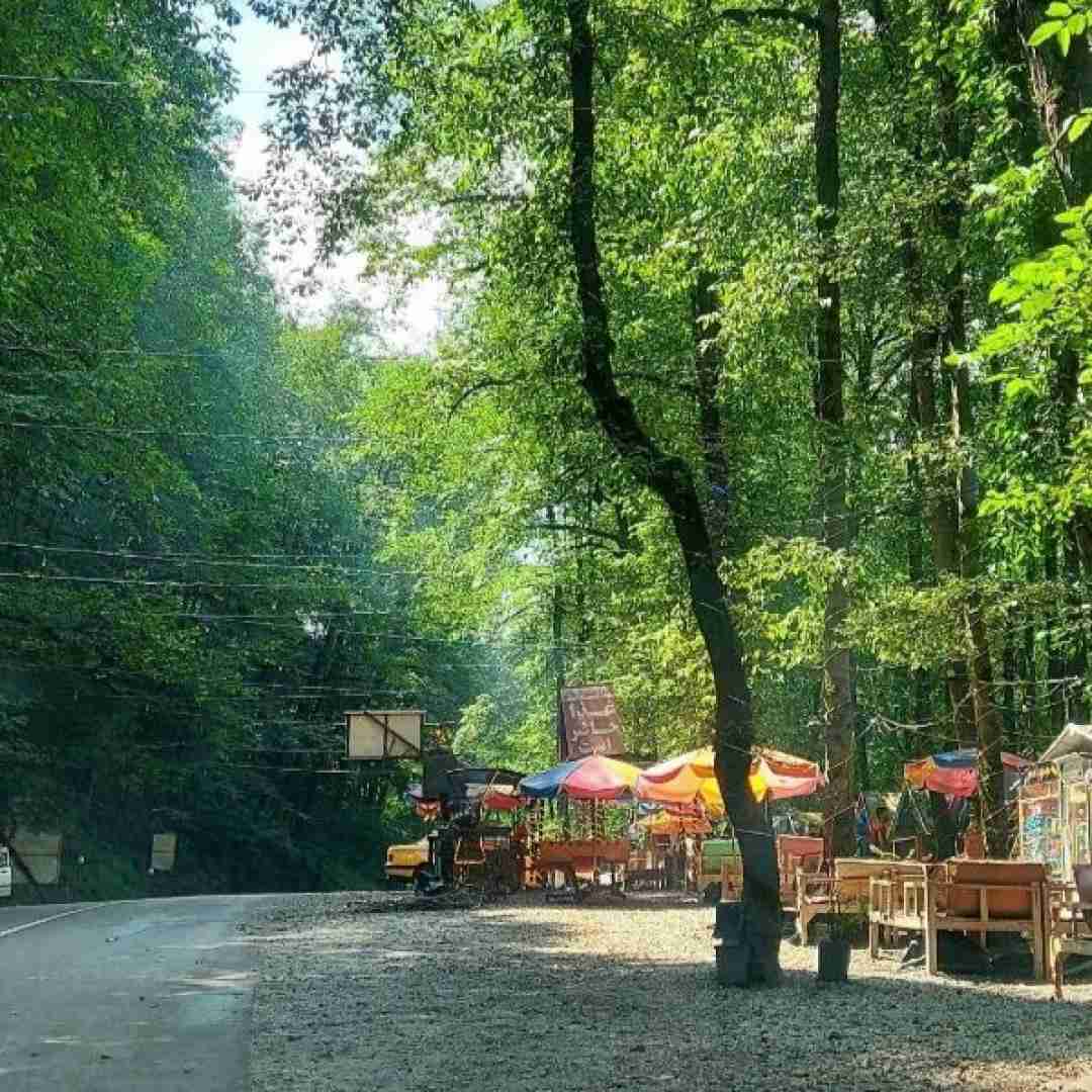 دیدی زدی زیرش دیدی گفتم قلبی نداری با صدای زن