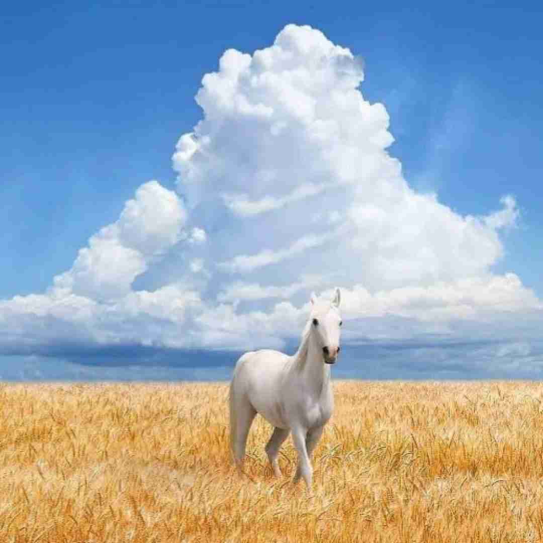  یکیو دارم کنارم که حالم بد باشه سرمو روی شونش بذارم با صدای پسر بچه