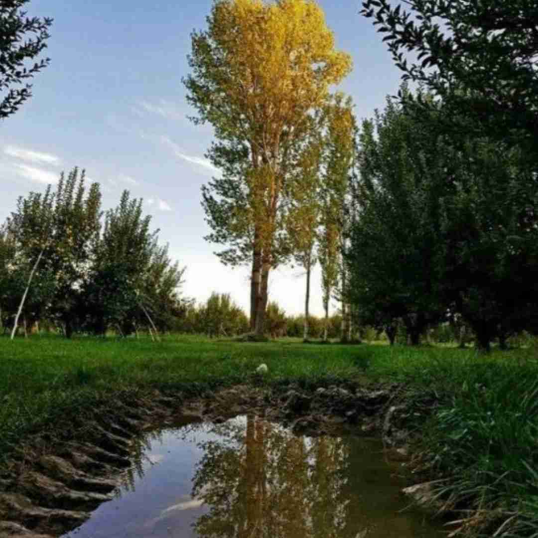 هی صدام کن من بگم جون با صدای بچه