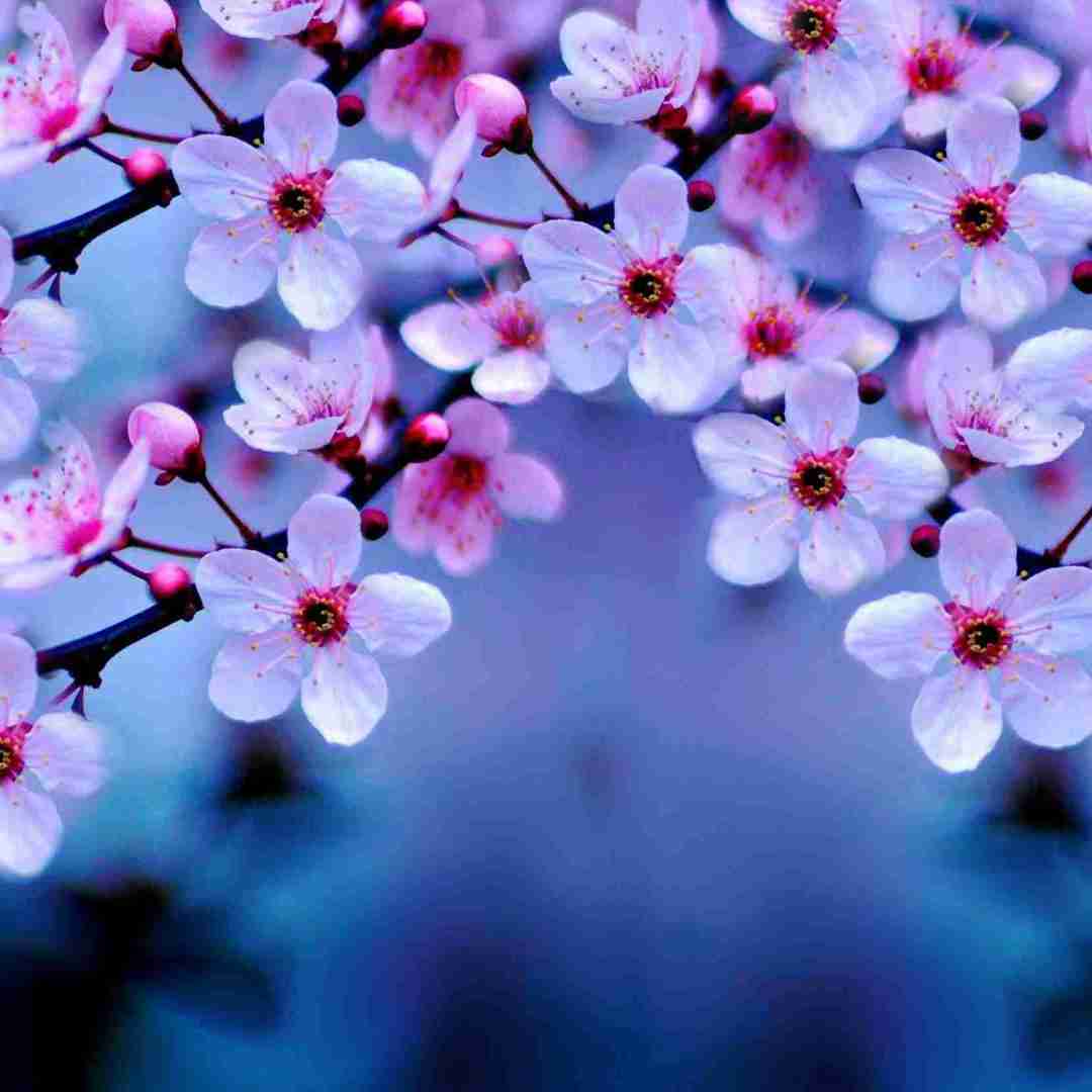  مرا گم کردی بین عشق این و آن خیالی نیست با صدای دختر