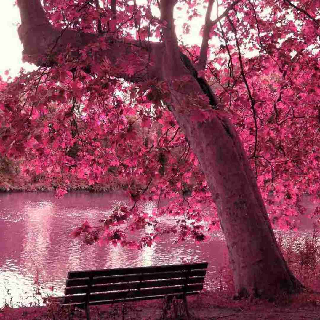 دخترم دنیامون عجیبه ما واسه همین دوست دارم باشی همیشه باهام