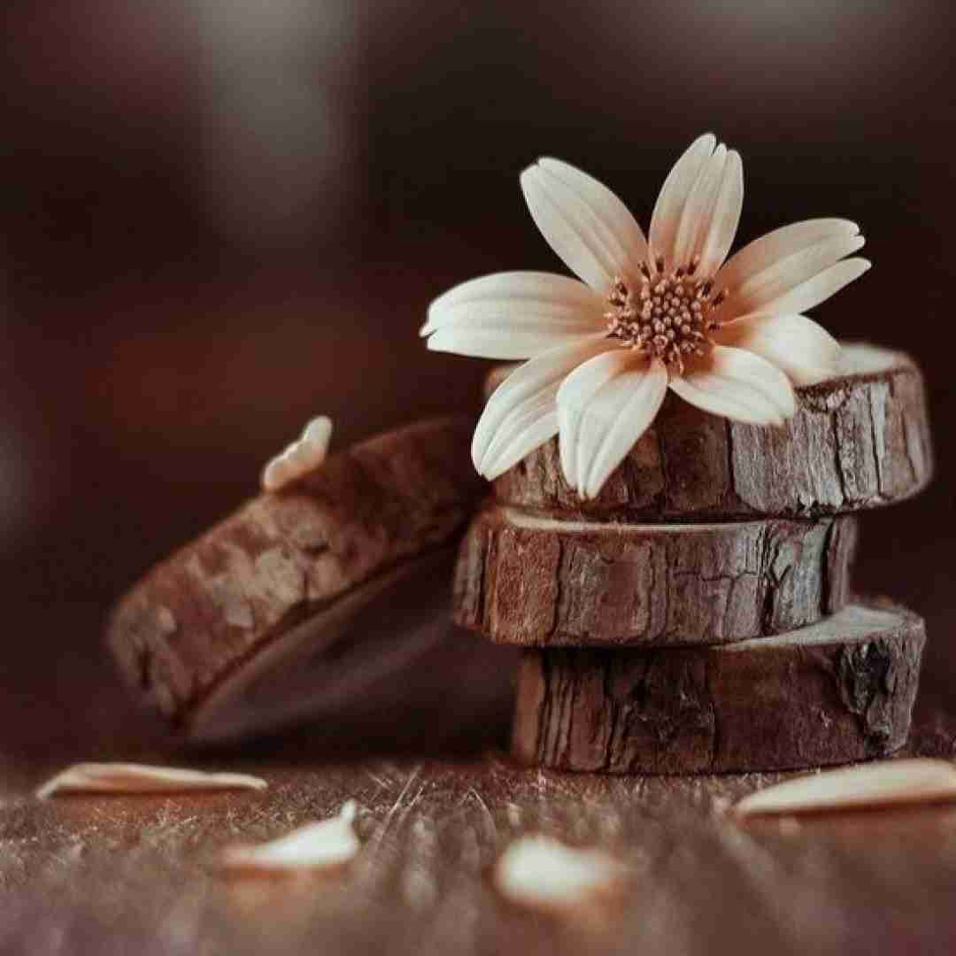  دوباره دلم واسه دیدن چشمات تنگه میشکنه نبودنت