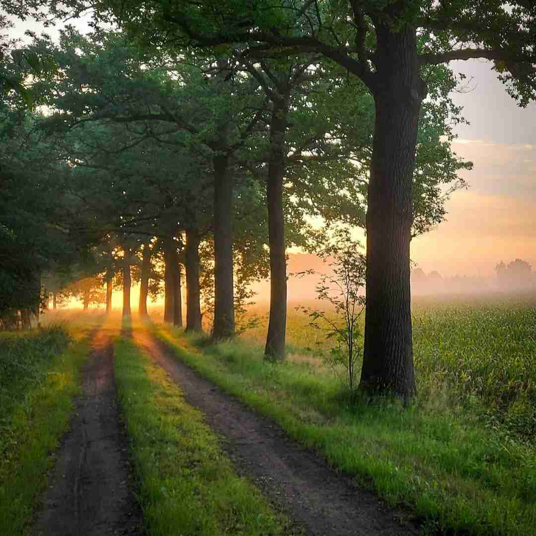 اشون باخت هاکرد بیمه من روی بالش یار با صدای زن هوش مصنوعی
