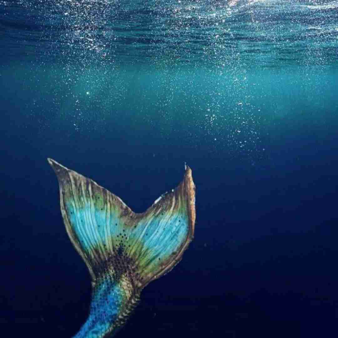  بعد پر پر شدنت ای گل زیبا چه کنم با صدای پسر