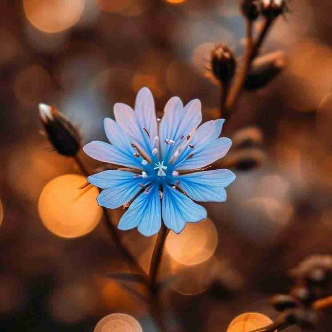 مگه چند سال دیگه هستیم کنار این زمین