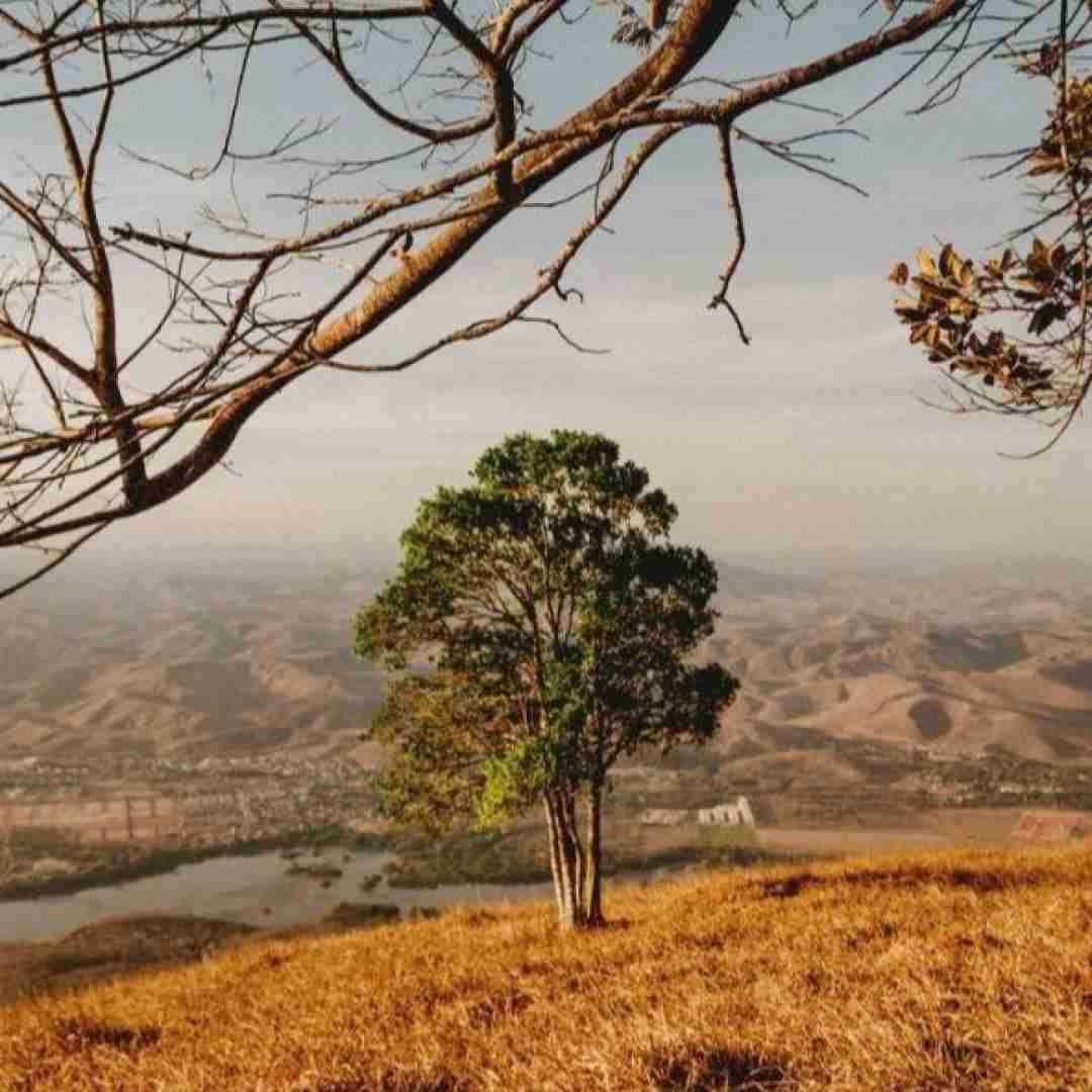  داغ عشق تو سیگاریم کرد نفس با صدای دختر اینستایی