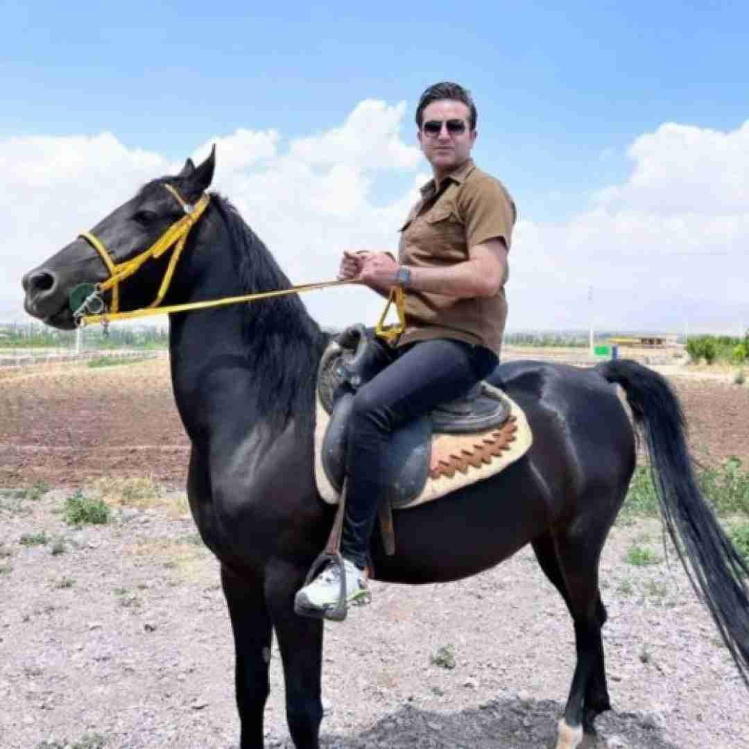 مرتضی جعفرزاده ساقی قربون جامت دنیا باشه به کامت