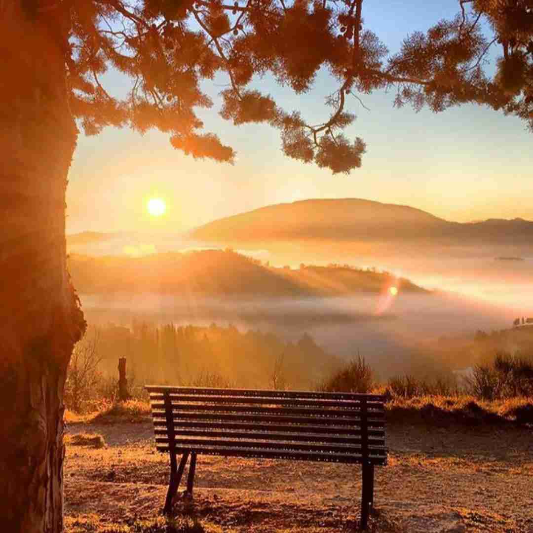  یه نگام کن ای پسر دله منه بردی تو با صدای دختر اینستایی