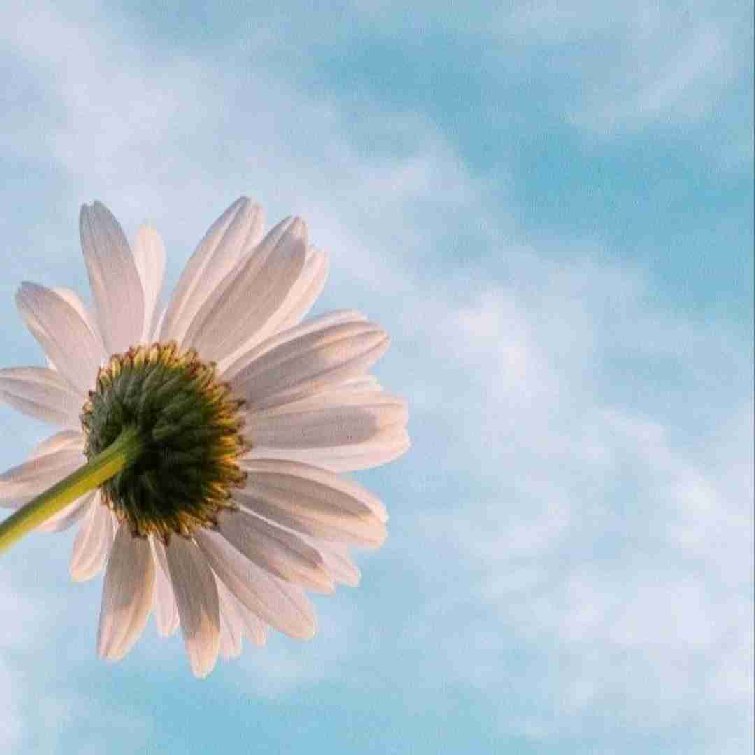  با اینکه نبودی با من خوب همه حرفاتو یادم موندش