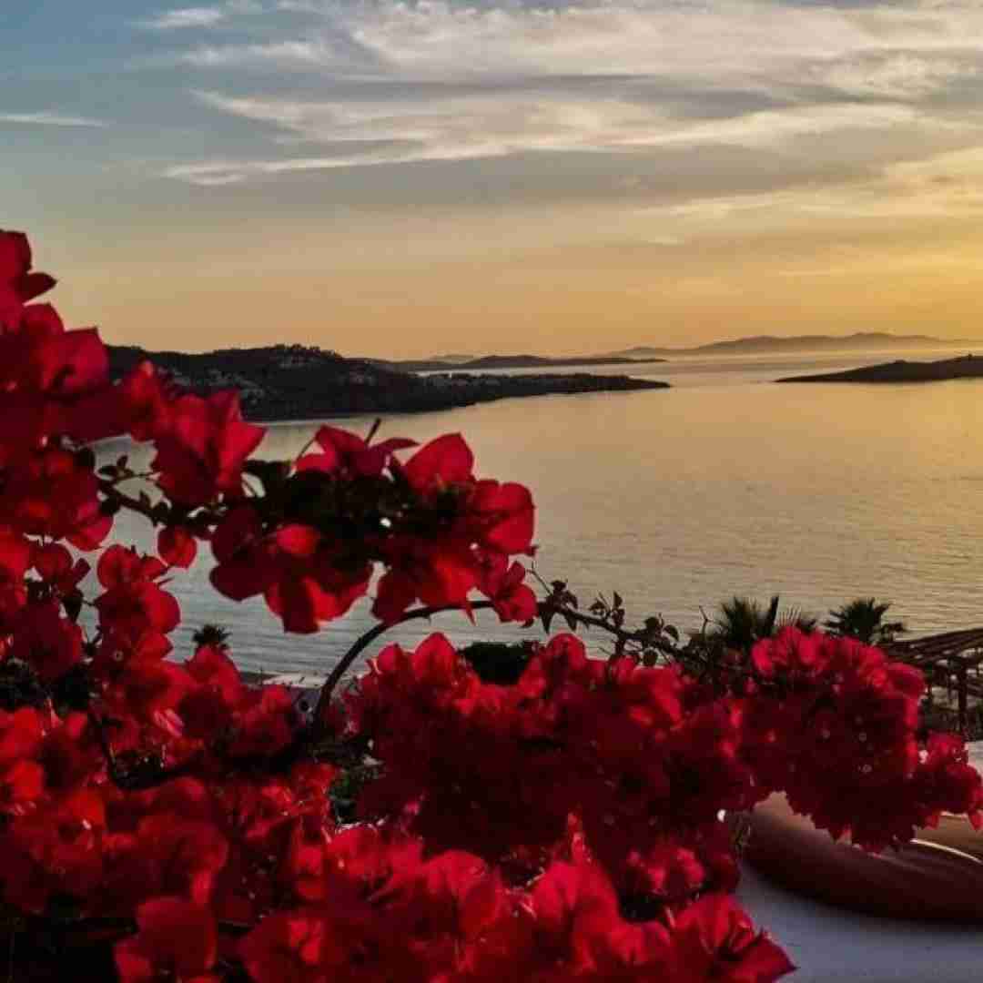 فکر نمیکردم اکسم شی بعد تو بشه نکستم کی
