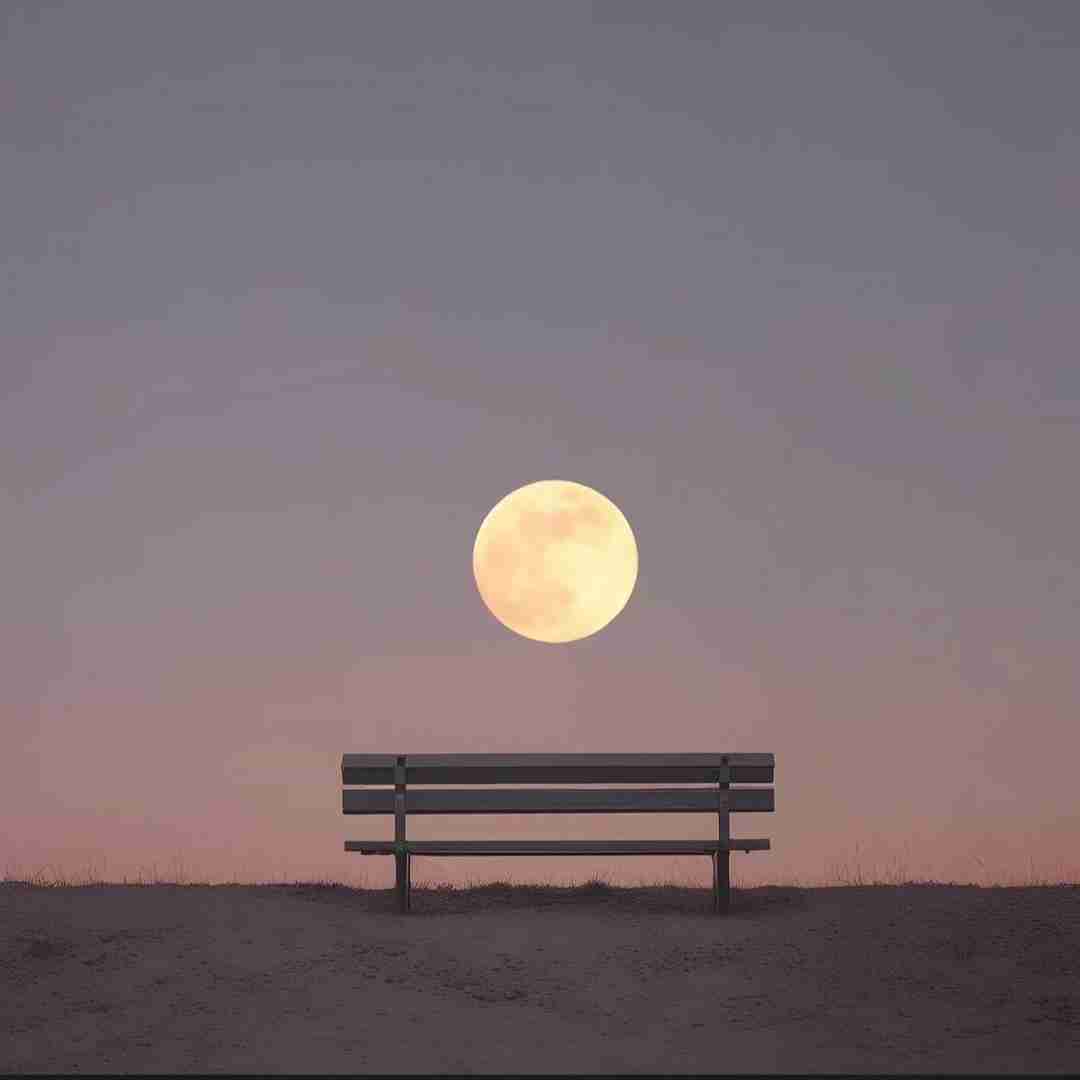  قلبم از حسرت پره رفتم روی برفای جنگل دراز کشیدم
