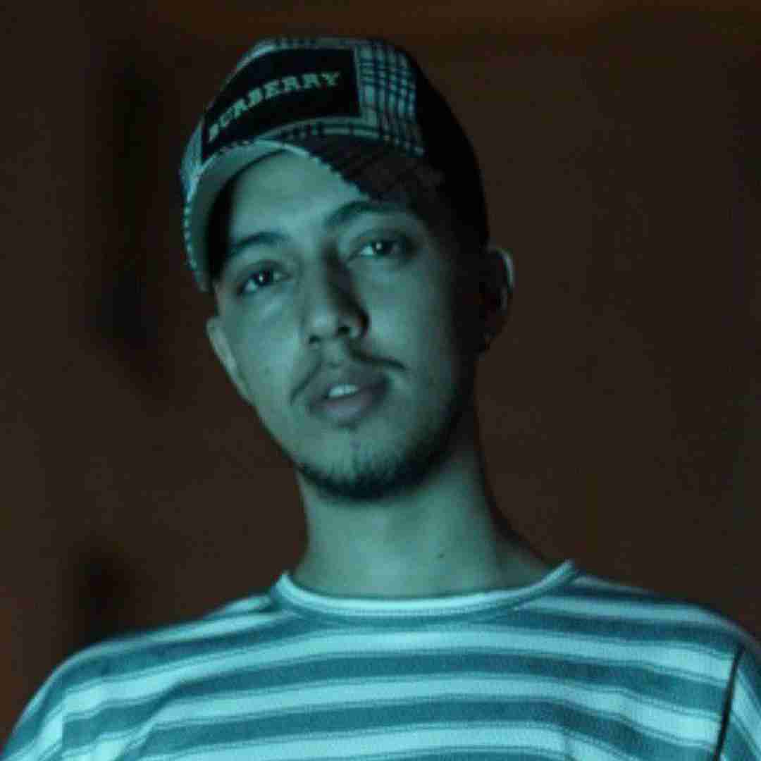 امیر خوشنگار نیلوفر آبی
