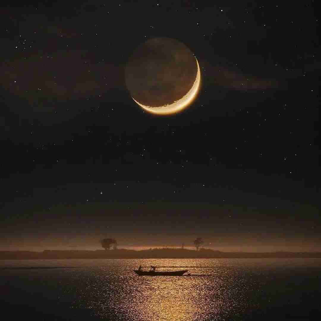 میخوام از جلسی بمیریم باهات عکس بگیرم