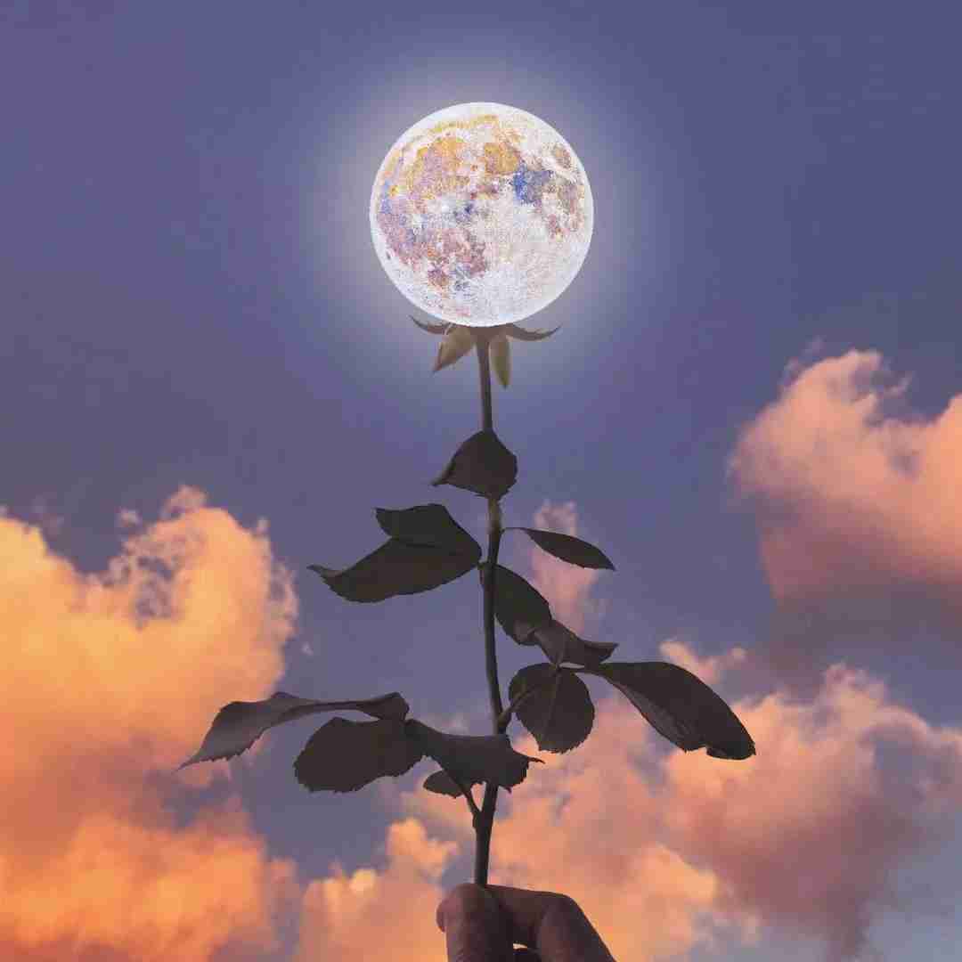 اینهمه از تو نوشتم اینهمه ورق سوزوندم با صدای زن - هوش مصنوعی