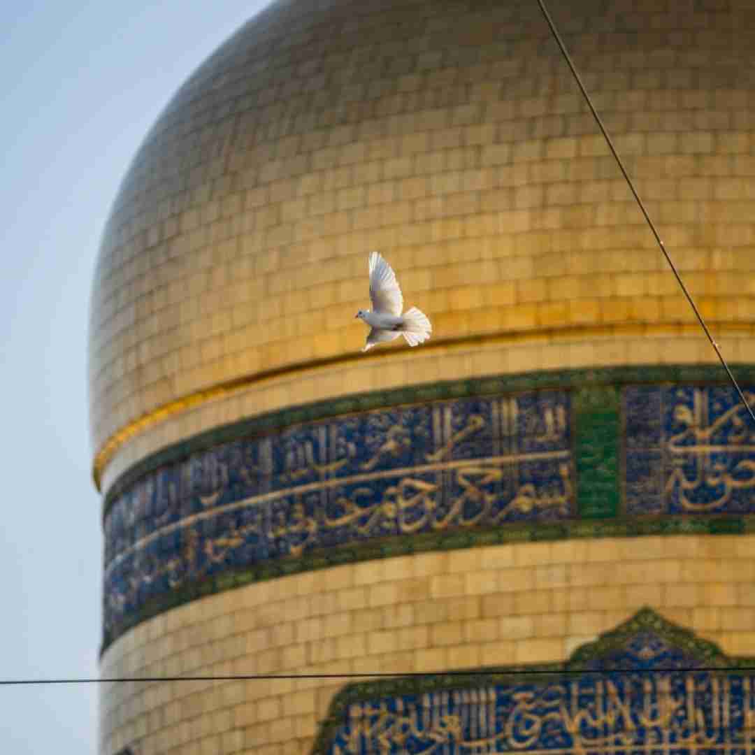 بابا جون رقیه برسونم به محرم تورو به جون رقیه