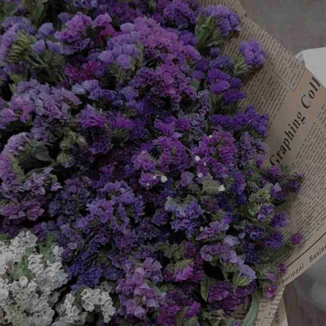  چرا برمیگردم هی با تو هی با تو هی با تو