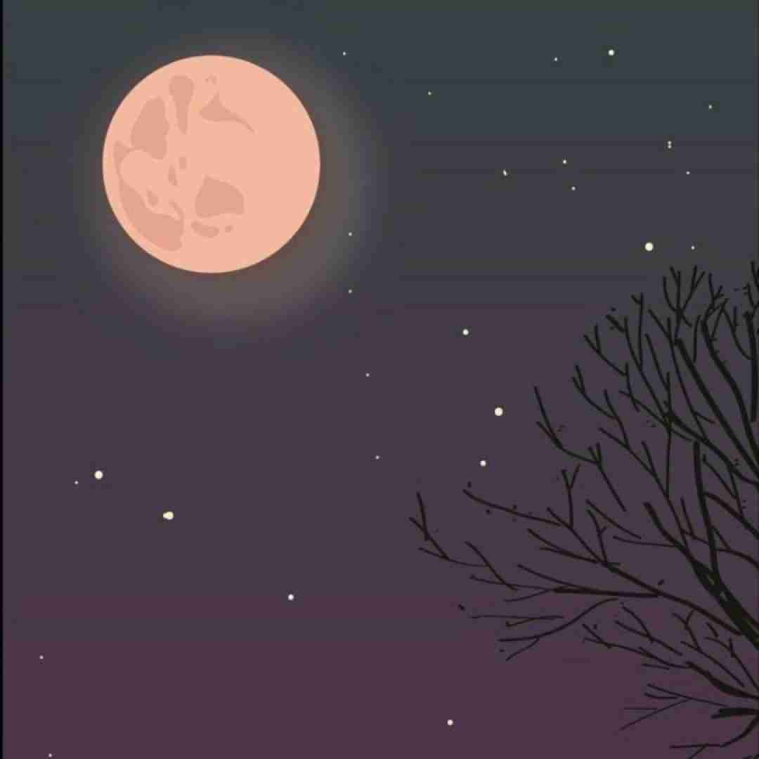 عاشق و اسیر و رامت دیوونه هر کلامت