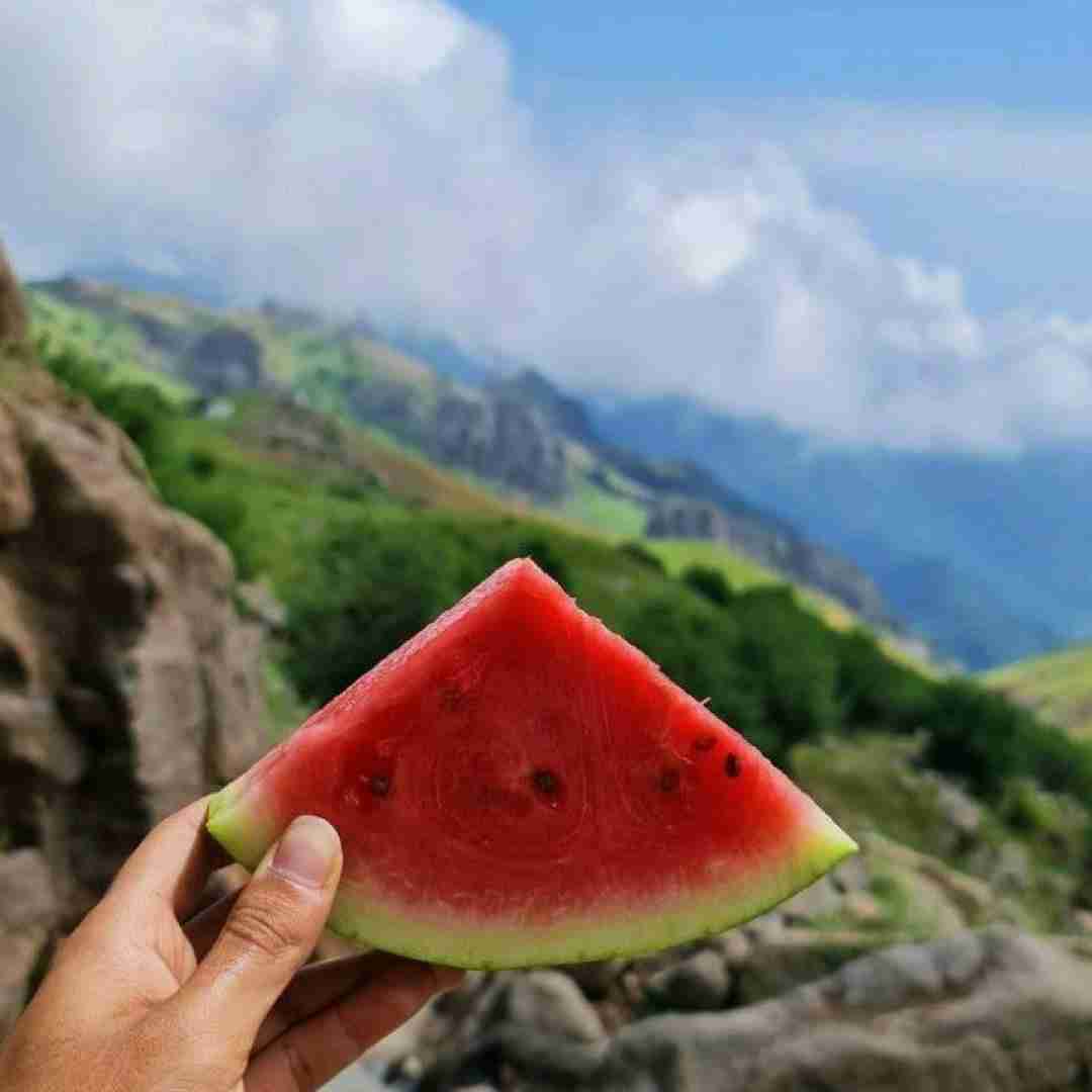 بدو عمان مرسیدس 4 نسوان