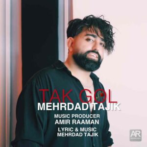 دانلود آهنگ جدید تک گل از مهرداد تاجیک