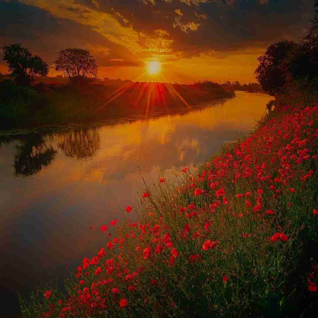  میکنی حالمو خوب رو تنم مونده که بوت