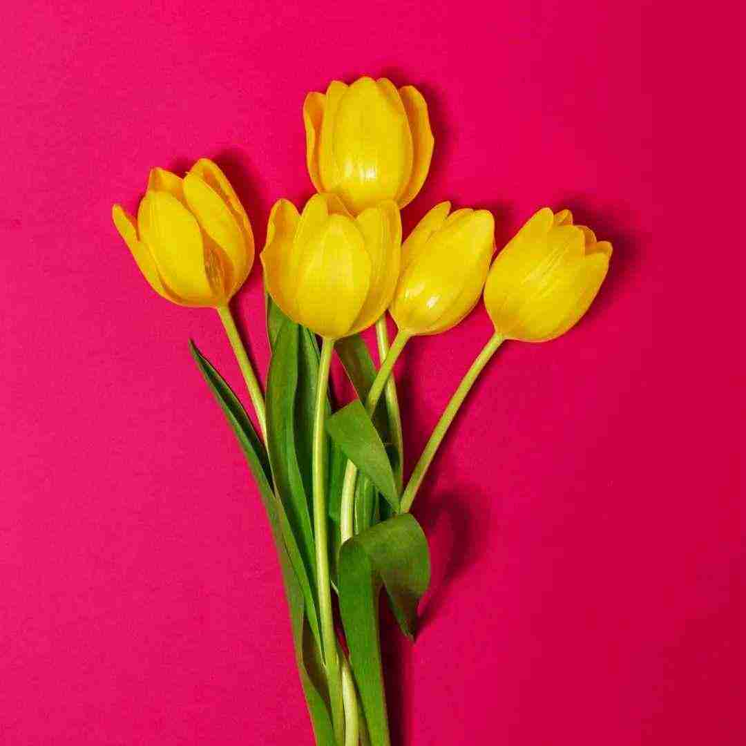 الو په په تو صندوق کیلو کیلو جنسه با صدای پسر (ترکیبی فارسی و کوردی)